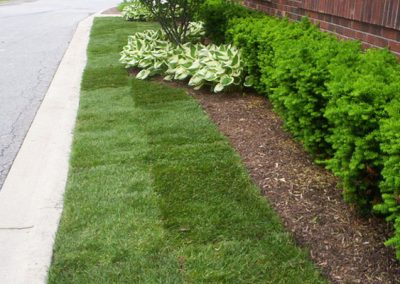 Rolar Landscaping Services