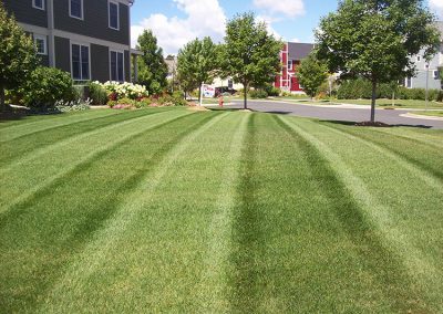 Property Maintenance Services Michigan